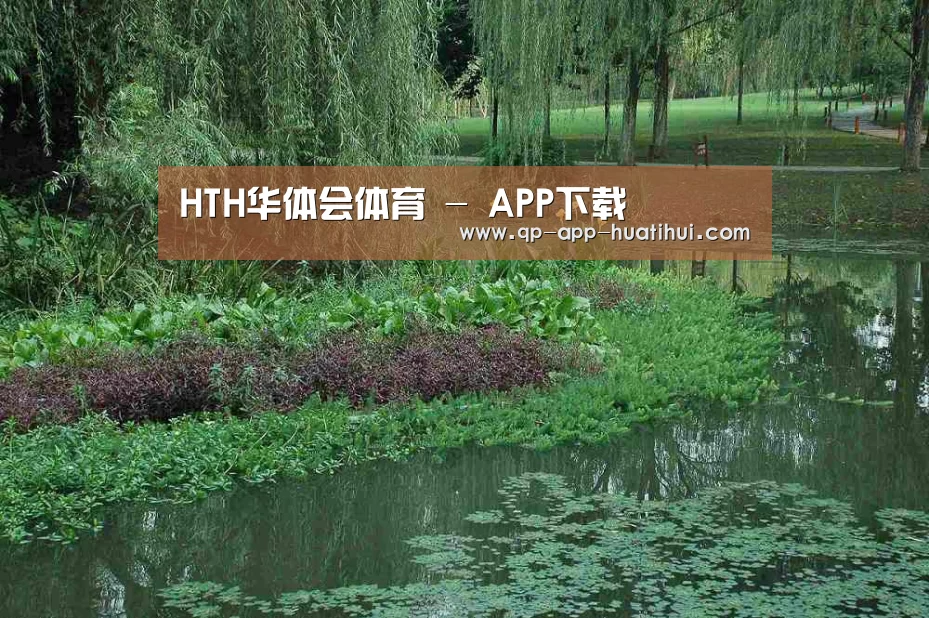 案例展示一(图1)