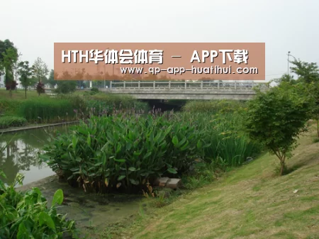 案例展示四(图1)