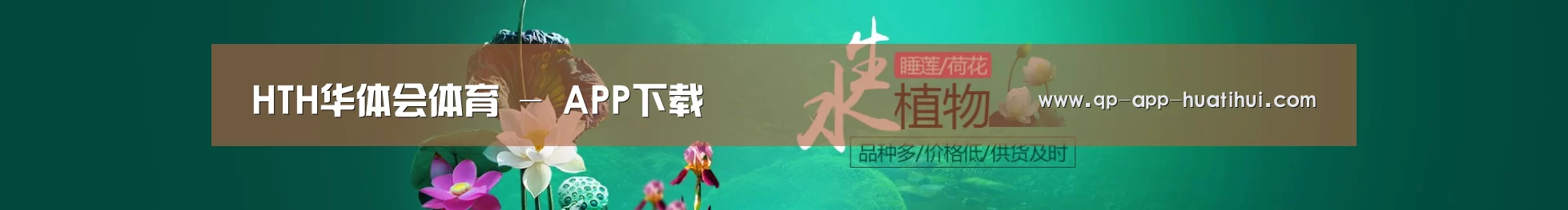 鲜花水草花卉网站模板