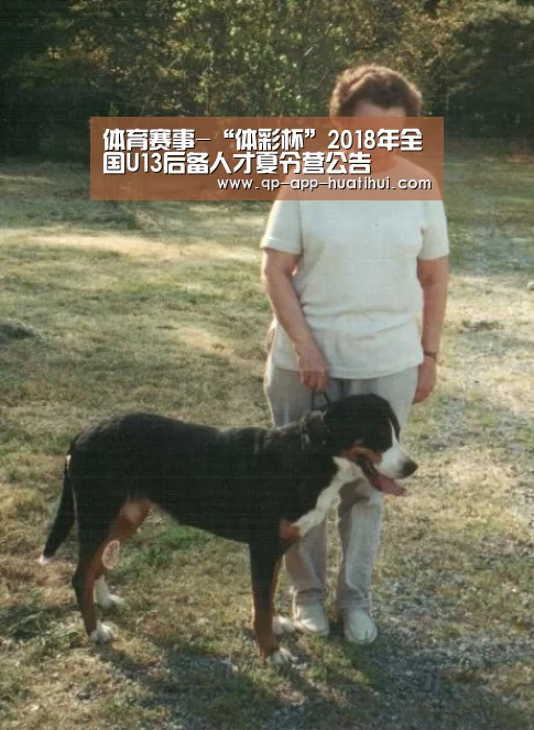 体育赛事-“体彩杯”2018年全国U13后备人才夏令营公告(图2) hth平台