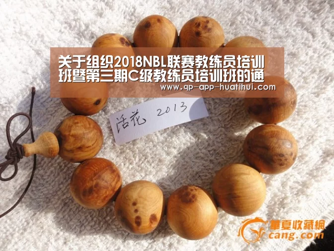 关于组织2018NBL联赛教练员培训班暨第三期C级教练员培训班的通知“hth”