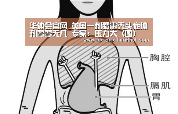 hth平台