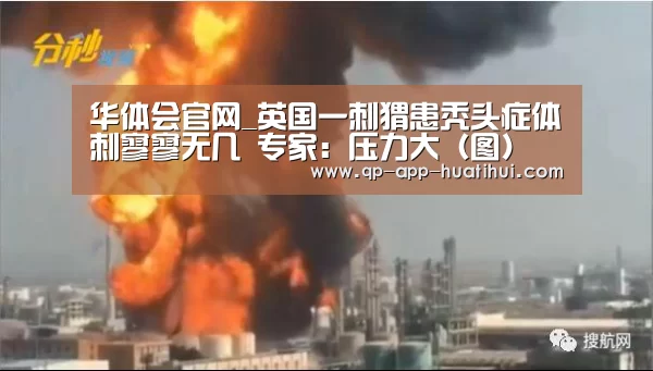 华体会官网_英国一刺猬患秃头症体刺寥寥无几 专家：压力大（图）(图3)