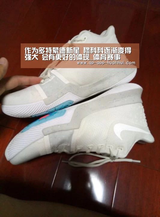 华体会官网
