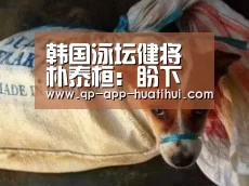 韩国泳坛健将朴泰桓：盼下月世锦赛夺金 超越自我_体育赛事(图1)