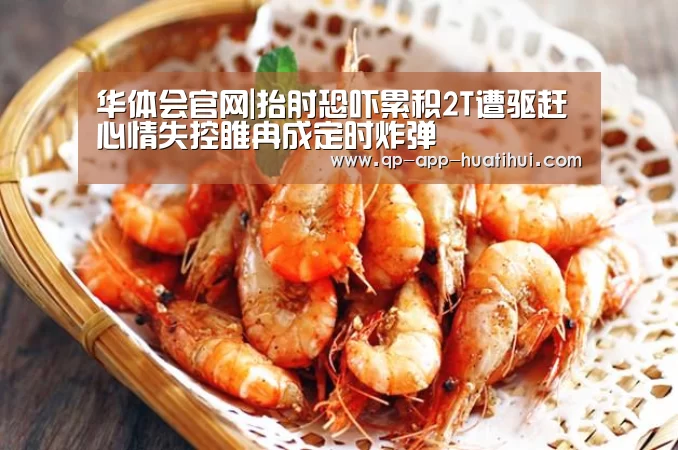 华体会官网|抬肘恐吓累积2T遭驱赶 心情失控睢冉成定时炸弹