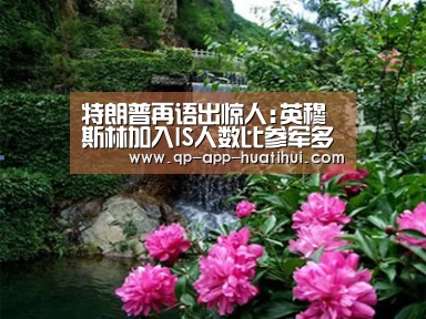 特朗普再语出惊人:英穆斯林加入IS人数比参军多_体育赛事(图3) 华体会官网